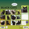 image Black Cats 2026 Wall Calendar First Alternate Image