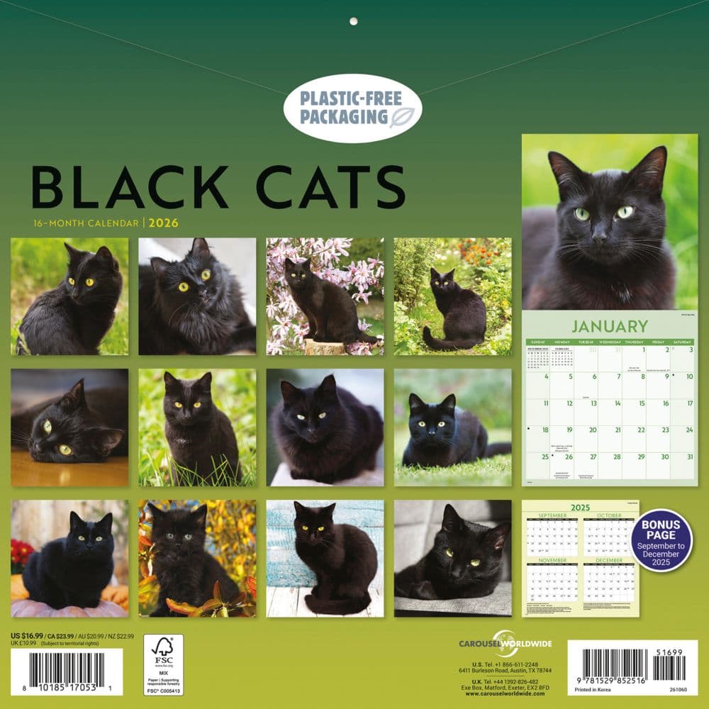 Black Cats 2026 Wall Calendar First Alternate Image
