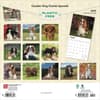 image Cavalier King Charles 2025 Wall Calendar