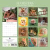 image Hamsters 2024 Wall Calendar Alternate Image 1