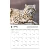 image Wild Cats WWF 2026 Wall Calendar Third Alternate Image