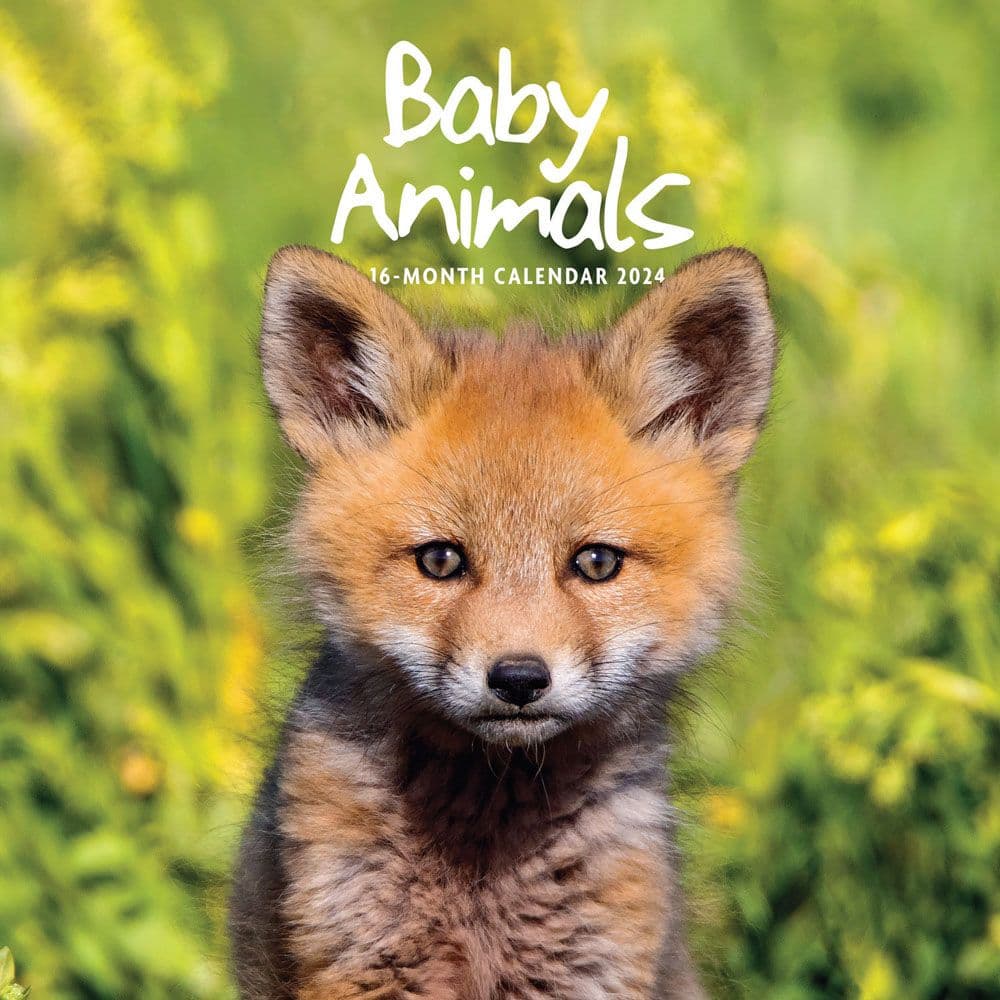 Baby Animals 2024 Wall Calendar Main Image