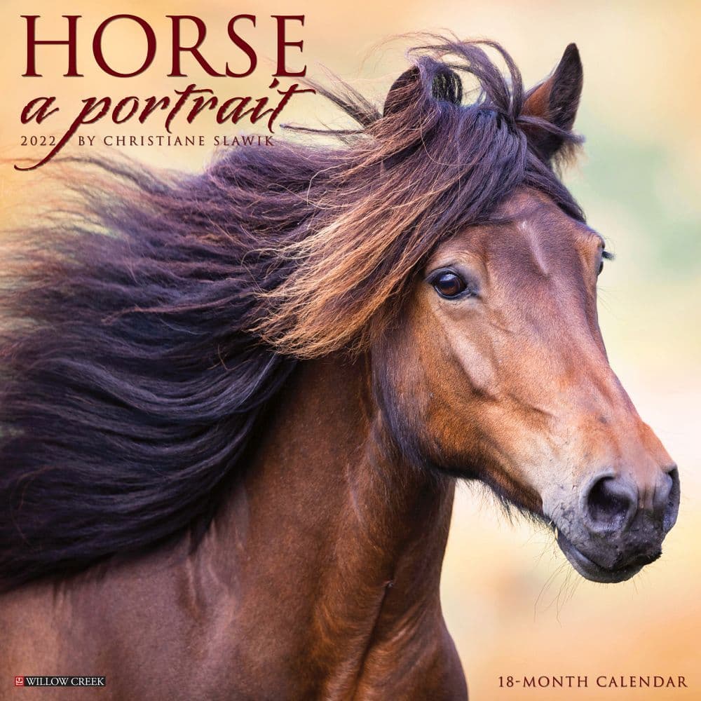 Horse Portrait 2022 Wall Calendar