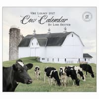 image Cows 2027 Wall Calendar Main Product Image