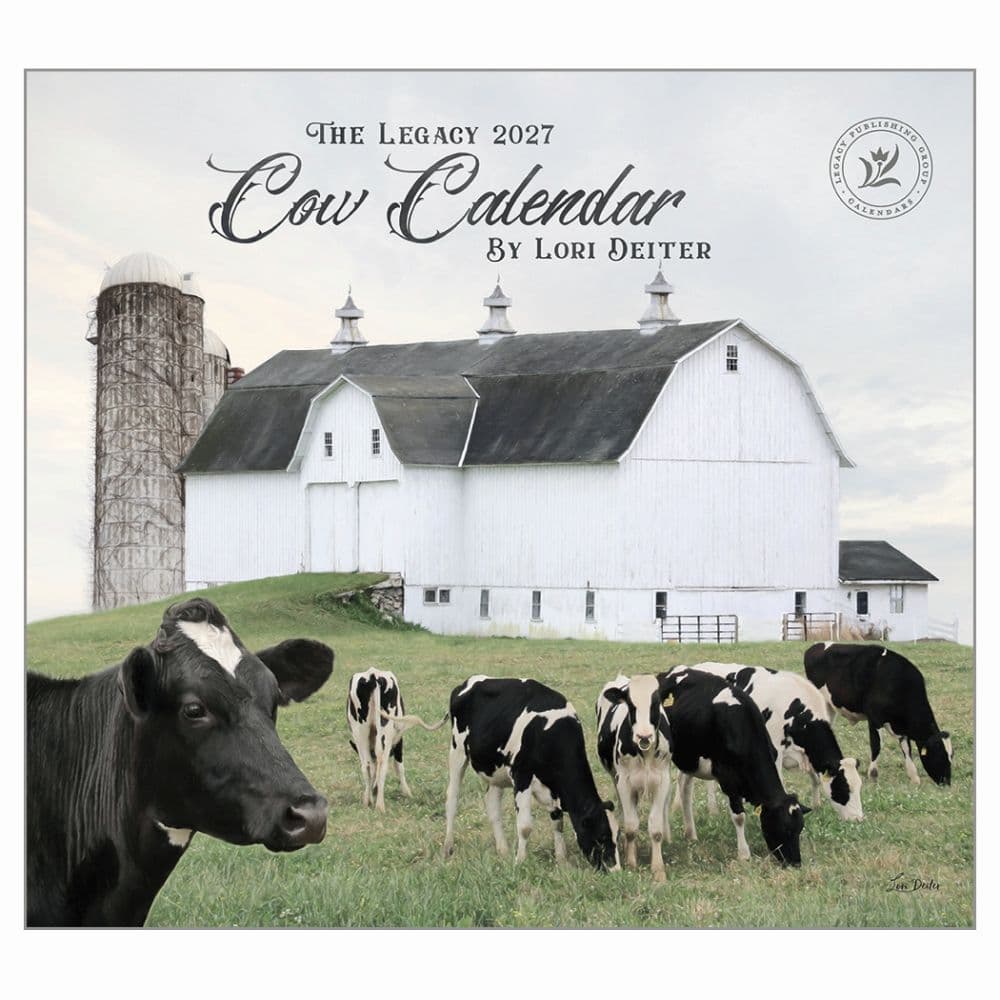 image Cows 2027 Wall Calendar Main Product Image