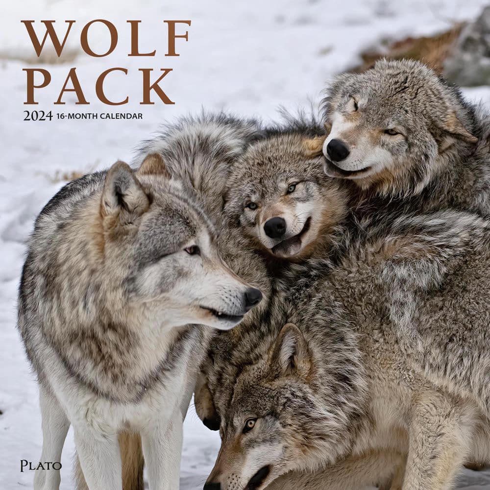 Wolf Pack 2024 Wall Calendar Main Product Image width=&quot;1000&quot; height=&quot;1000&quot;
