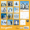 image Penguins 2024 Wall Calendar Alternate Image 1