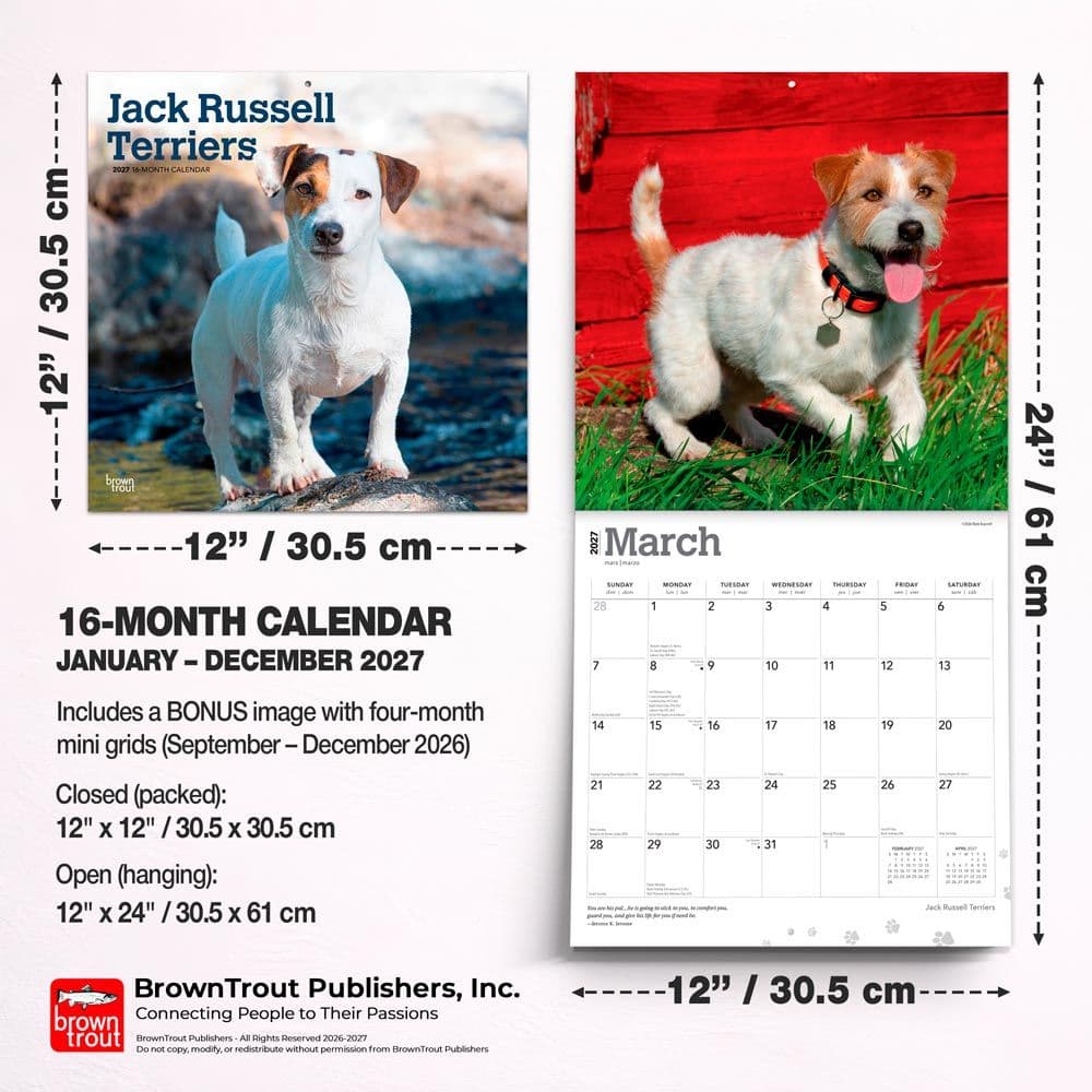Jack Russell Terriers 2027 Wall Calendar Sixth  Alternate Image
