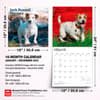 image Jack Russell Terriers 2027 Wall Calendar Sixth  Alternate Image