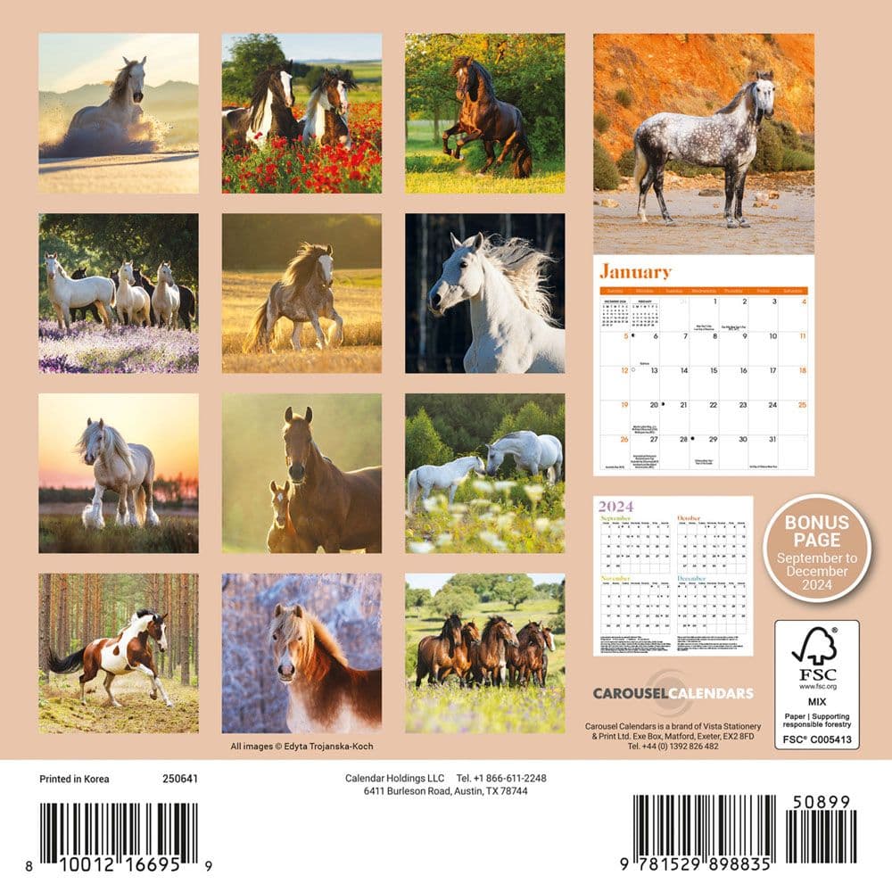 Horses 2025 Mini Wall Calendar First Alternate Image width=&quot;1000&quot; height=&quot;1000&quot;