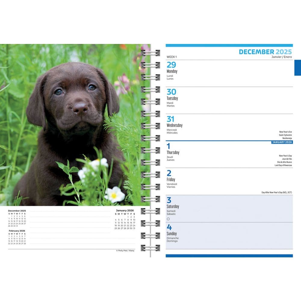 Puppies 2026 Engagement Planner Second Alternate Image