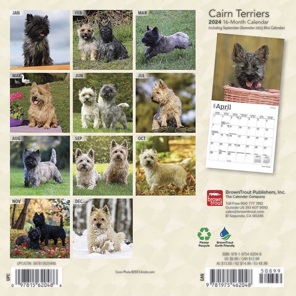 Cairn Terriers 2024 Mini Wall Calendar