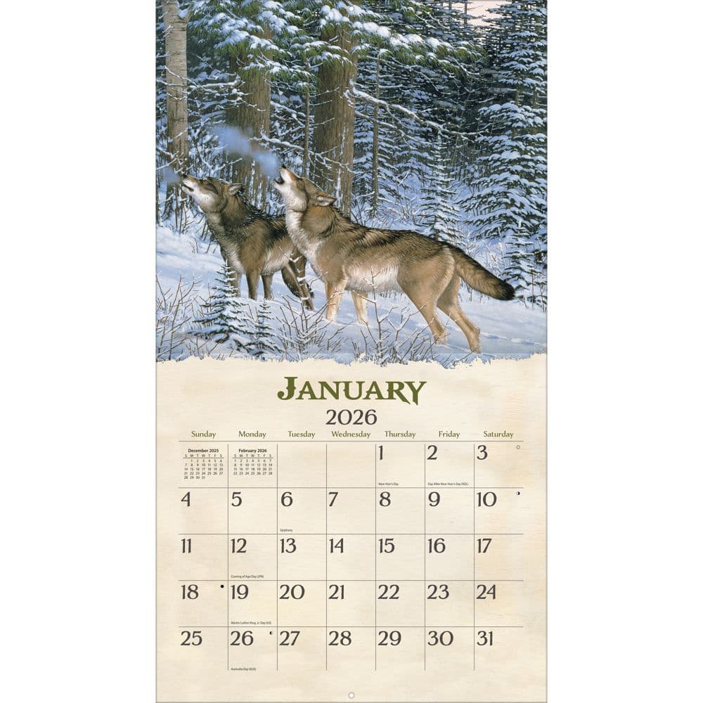 Beyond the Woods 2026 Wall Calendar by Michael Sieve_ALT1