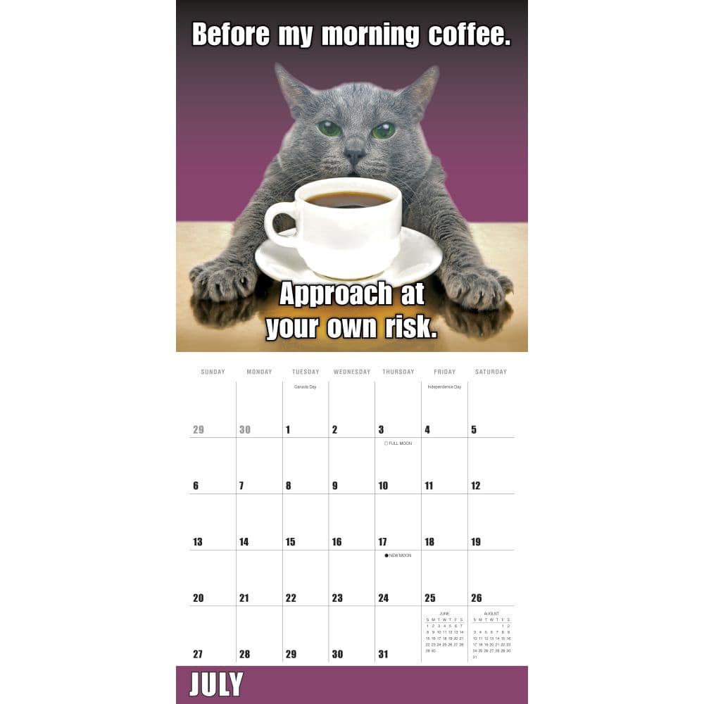 Meow Memes 2025 Wall Calendar