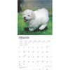 image Bichon Frise Puppies 2025 Wall Calendar Second Alternate Image width=&quot;1000&quot; height=&quot;1000&quot;