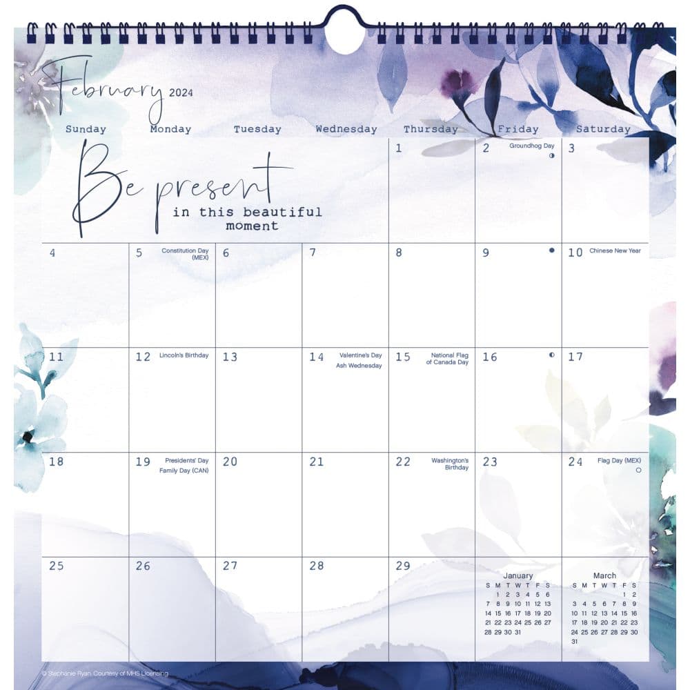 Enchantment Stephanie Ryan 2024 Wall Calendar