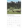 image Dakotas 2025 Wall Calendar Third Alternate Image