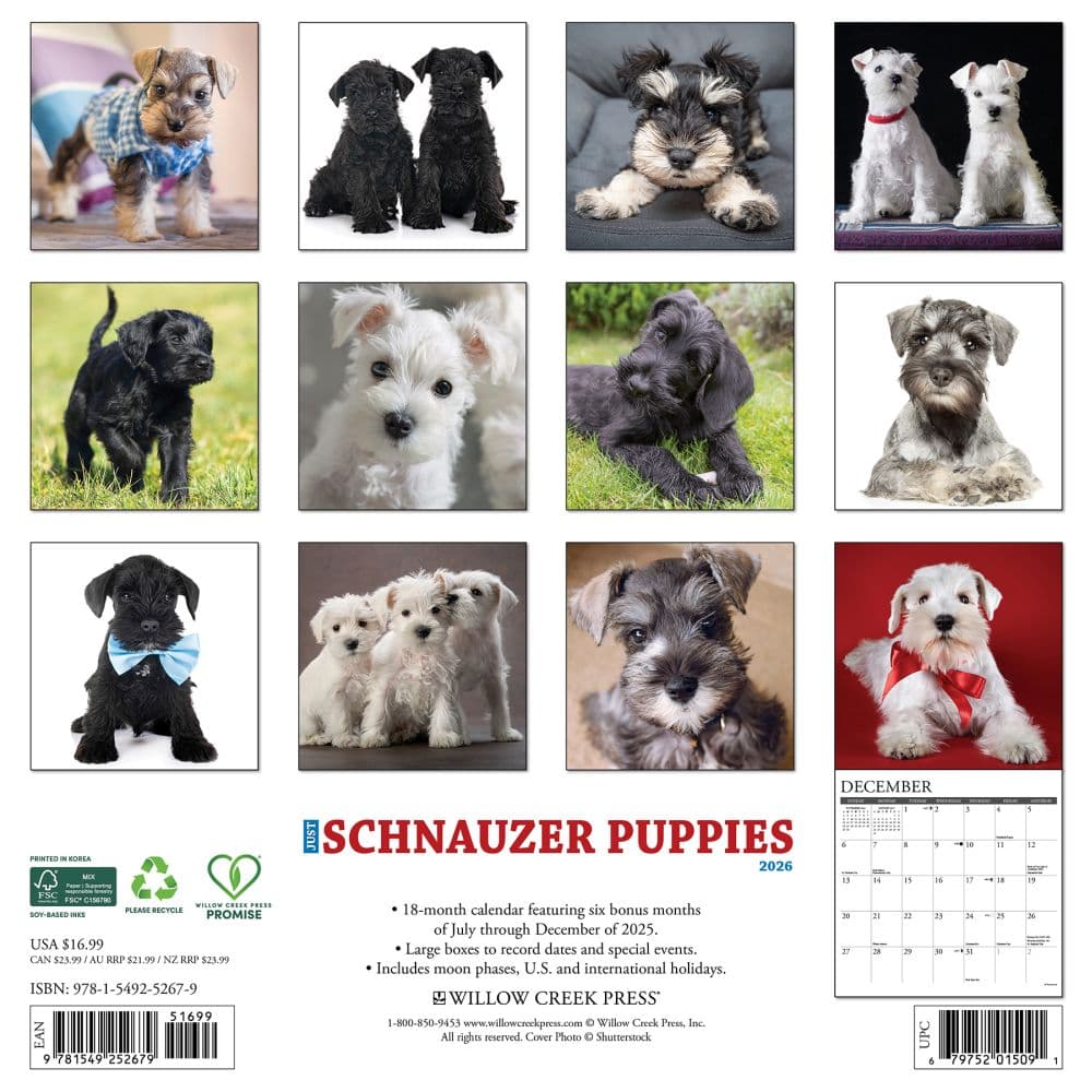 Just Schnauzer Puppies 2026 Wall Calendar First Alternate Image