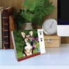 image Just Corgis 2025 Desk Calendar Third Alternate Image