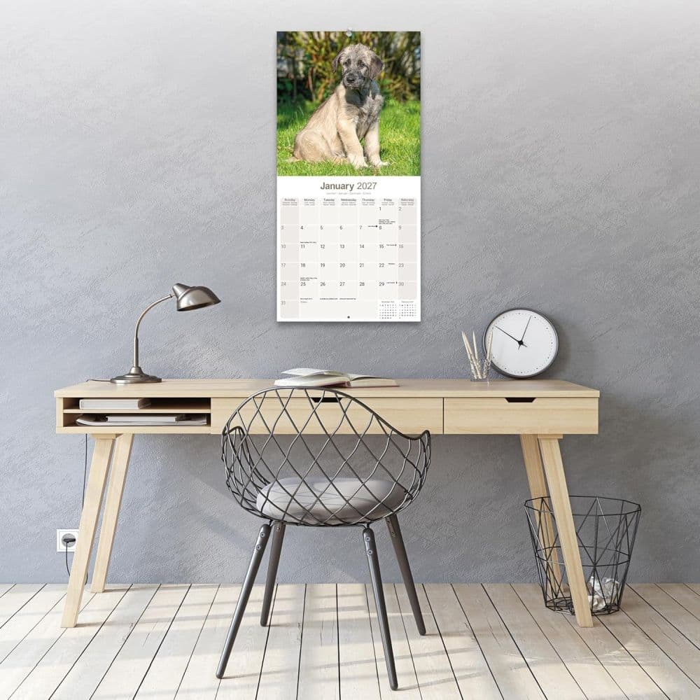 Irish Wolfhound 2027 Wall Calendar Third Alternate Image
