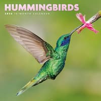 image Hummingbirds Special Value 2026 Mini Wall Calendar Main Image