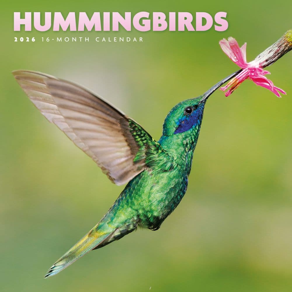 Hummingbirds Special Value 2026 Mini Wall Calendar Main Image