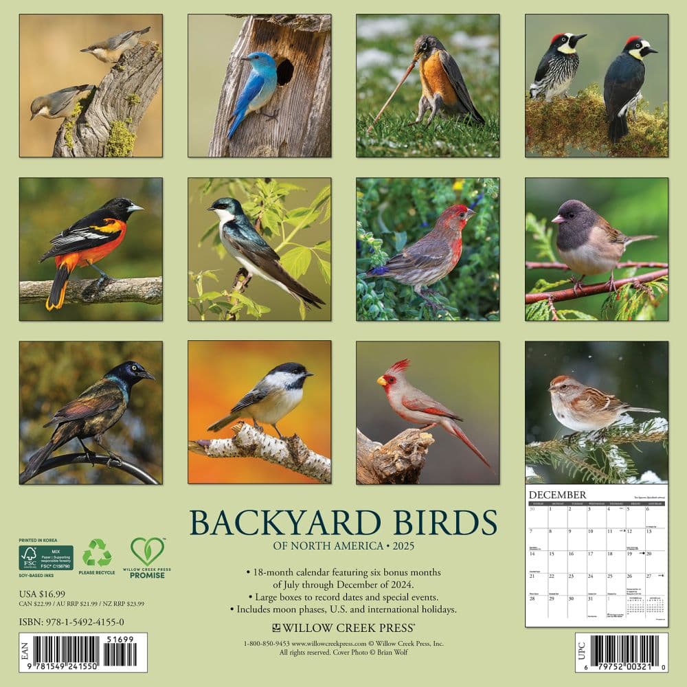 Birds Backyard 2025 Wall Calendar - Calendars.com