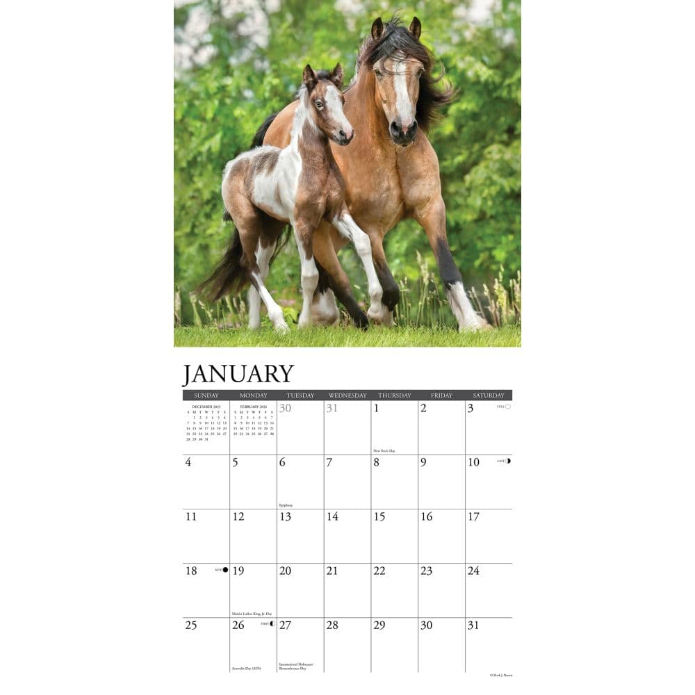 Horses Paint 2026 Wall Calendar Second Alternate Image