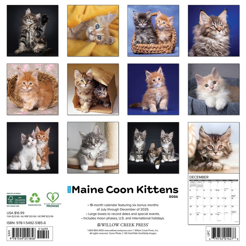 Maine Coon Kittens 2026 Wall Calendar First Alternate Image