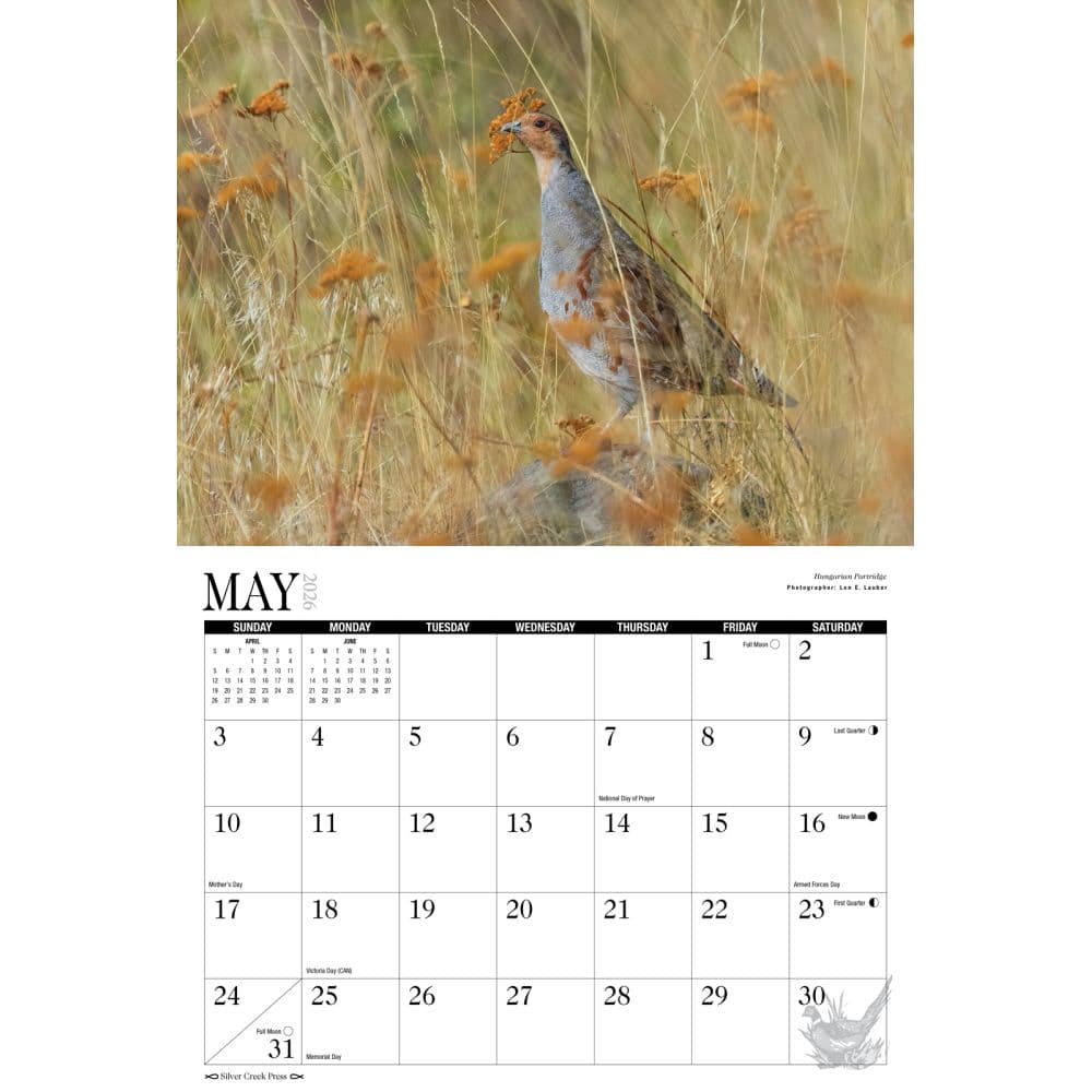 Hunting Dogs and Upland Birds 2026 Wall Calendar Second Alternate Image