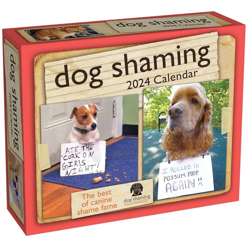 Dog Shaming 2024 Desk Calendar Front of box