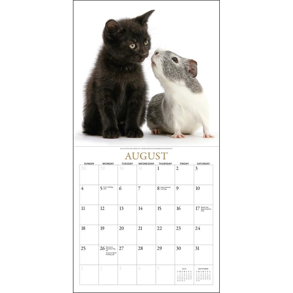 Kittens &amp; Friends 2024 Mini Wall Calendar Third Alternate Image width=&quot;1000&quot; height=&quot;1000&quot;
