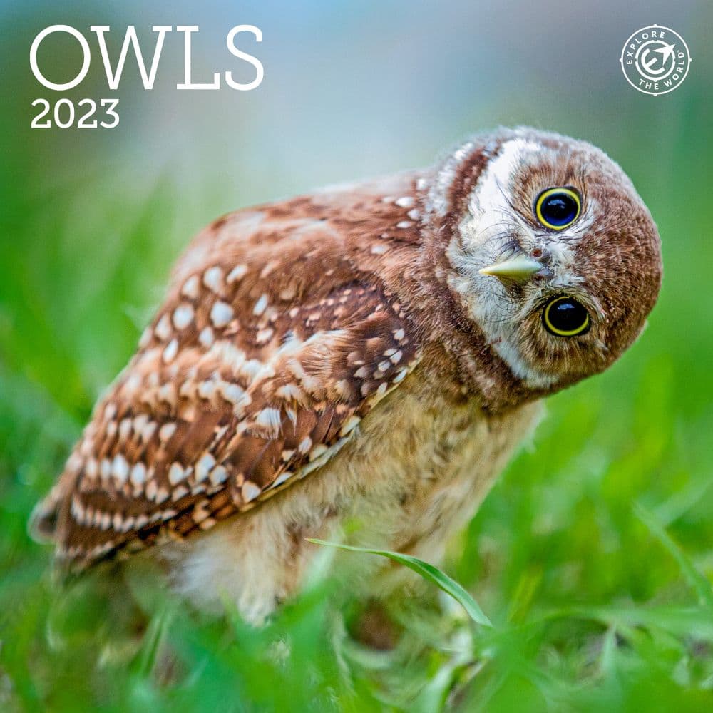 Owls 2023 Mini Wall Calendar