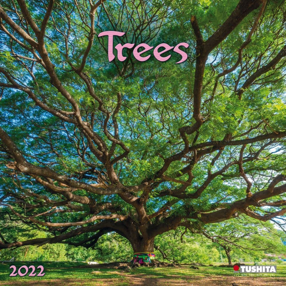 Trees 2022 Wall Calendar - Calendars.com