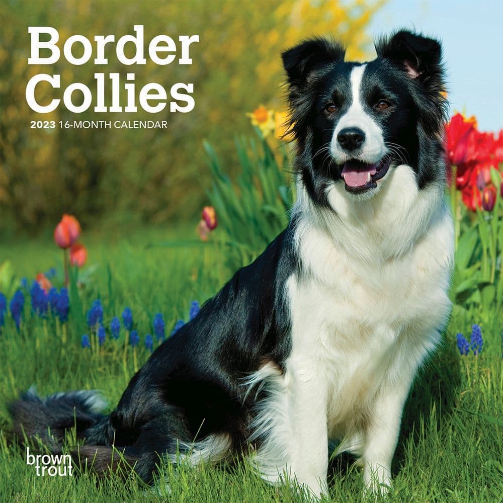 Border Collie Calendar 2023 - Printable Word Searches