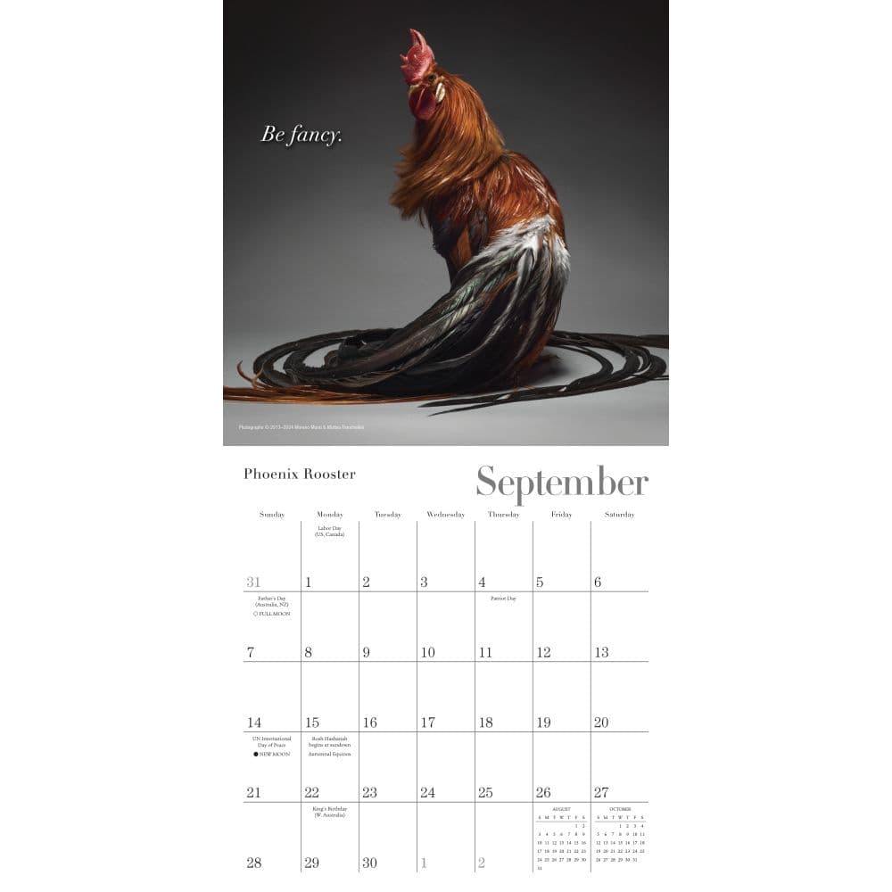 Glamour Chicks 2025 Mini Wall Calendar