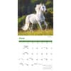 image Wild Horses 2026 Wall Calendar Third Alternate Image