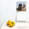 image Cairn Terriers 2025 Wall Calendar Third Alternate  Image width=&quot;1000&quot; height=&quot;1000&quot;