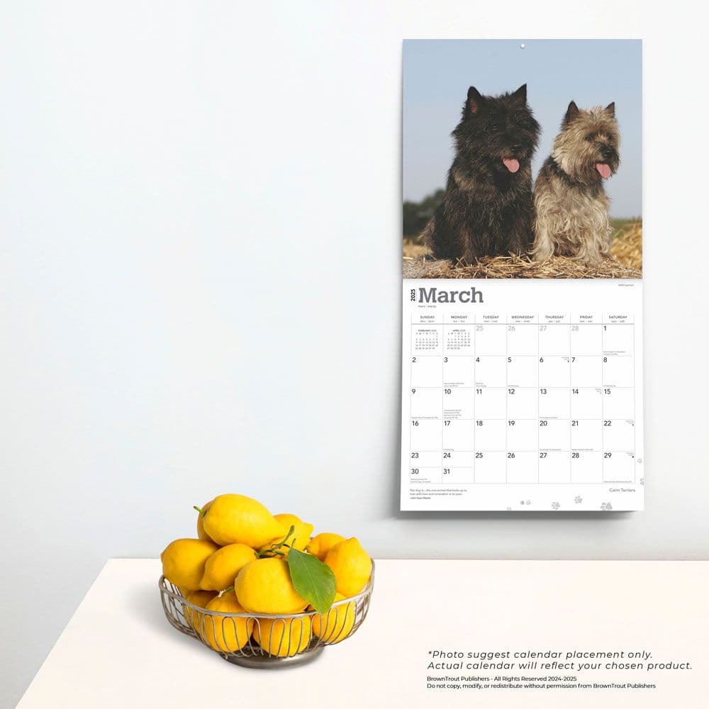 Cairn Terriers 2025 Wall Calendar
