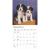 image Puppies For the Love 2025 Mini Wall Calendar