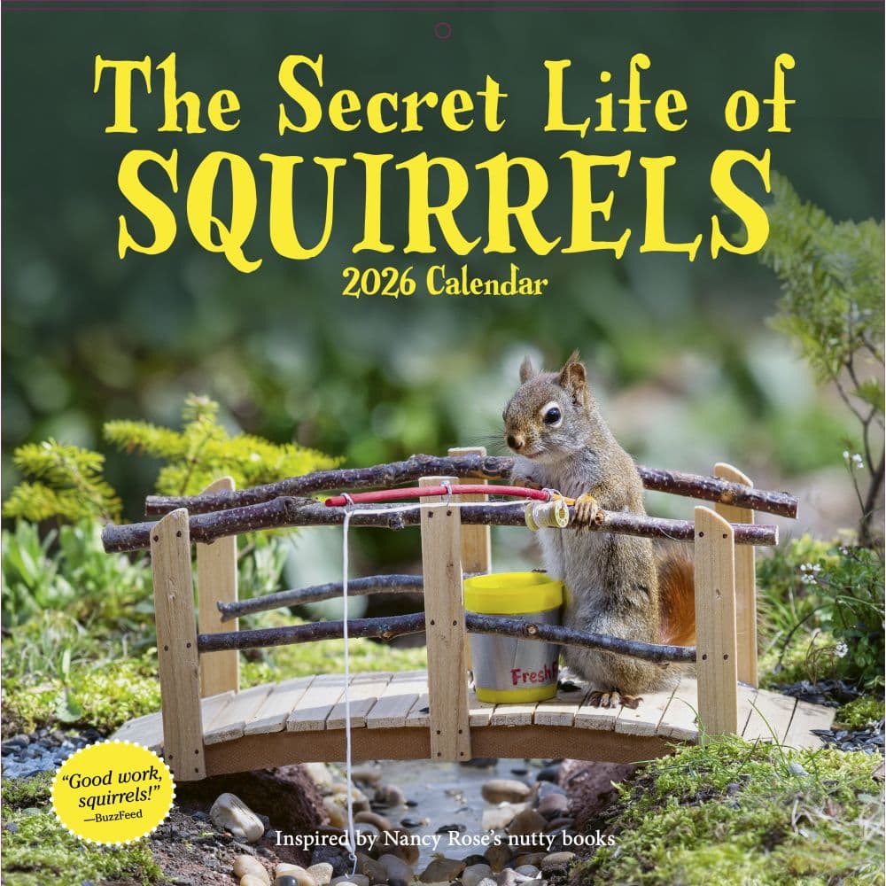 Secret Life of Squirrels 2026 Wall Calendar Main Image