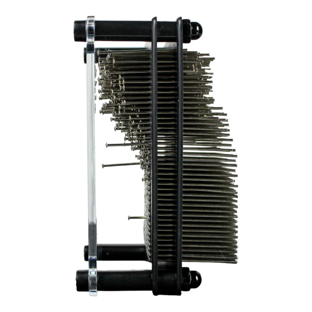 3-D Image Captor First Alternate Image