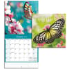 image Butterflies 2024 Mini Wall Calendar Fourth Alternate Image width=&quot;1000&quot; height=&quot;1000&quot;