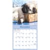 image Sleepy Puppies 2026 Mini Wall Calendar Fourth Alternate Image