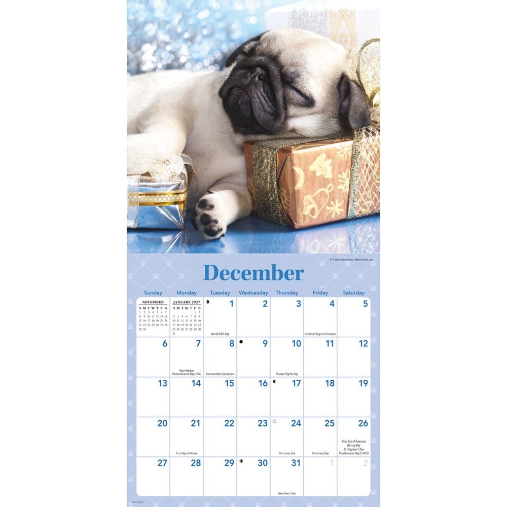 Sleepy Puppies 2026 Mini Wall Calendar Fourth Alternate Image