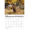 image Elk 2027 Wall Calendar Second Alternate Image