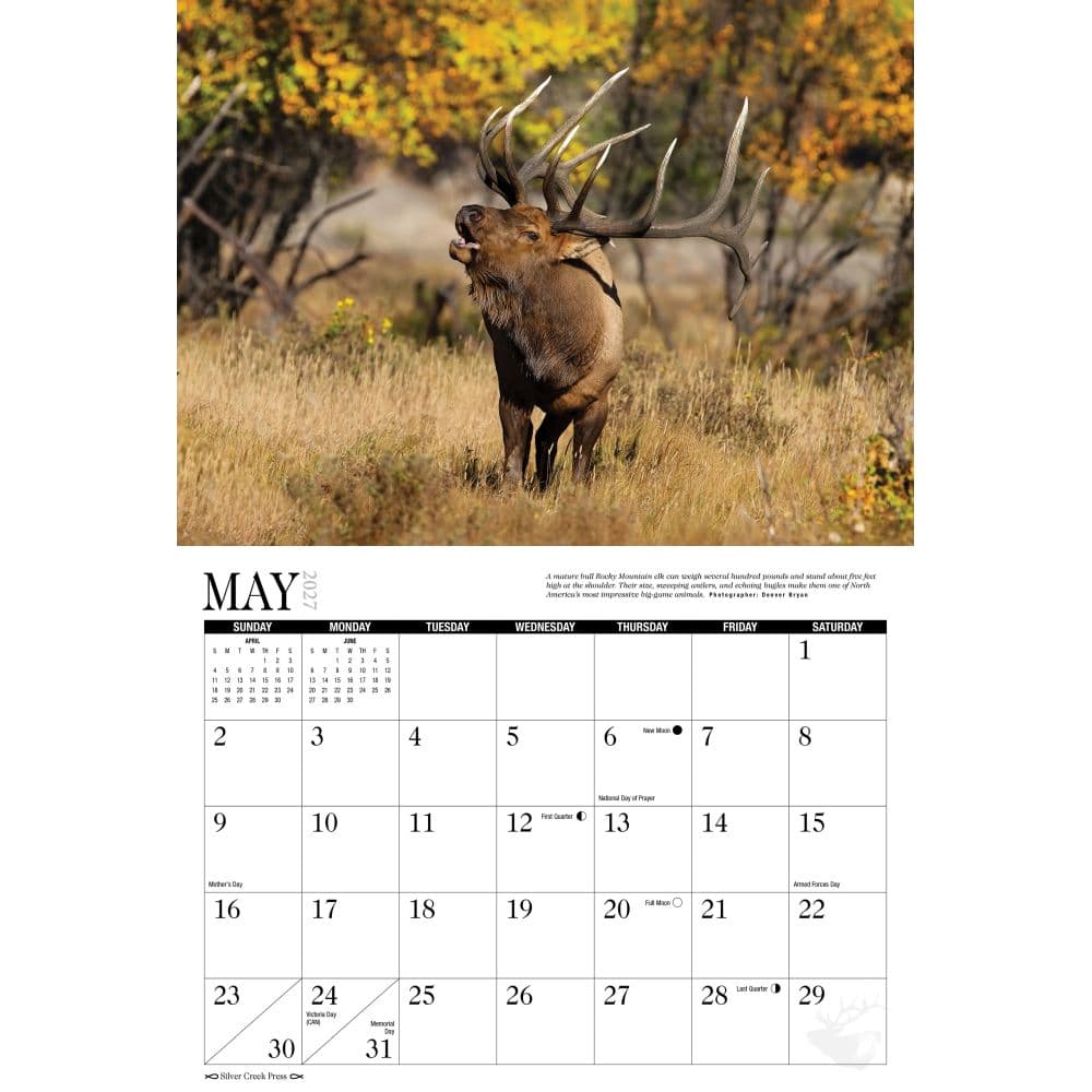 Elk 2027 Wall Calendar Second Alternate Image