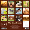 image What Horses Teach Us 2026 Wall Calendar First Alternate Image