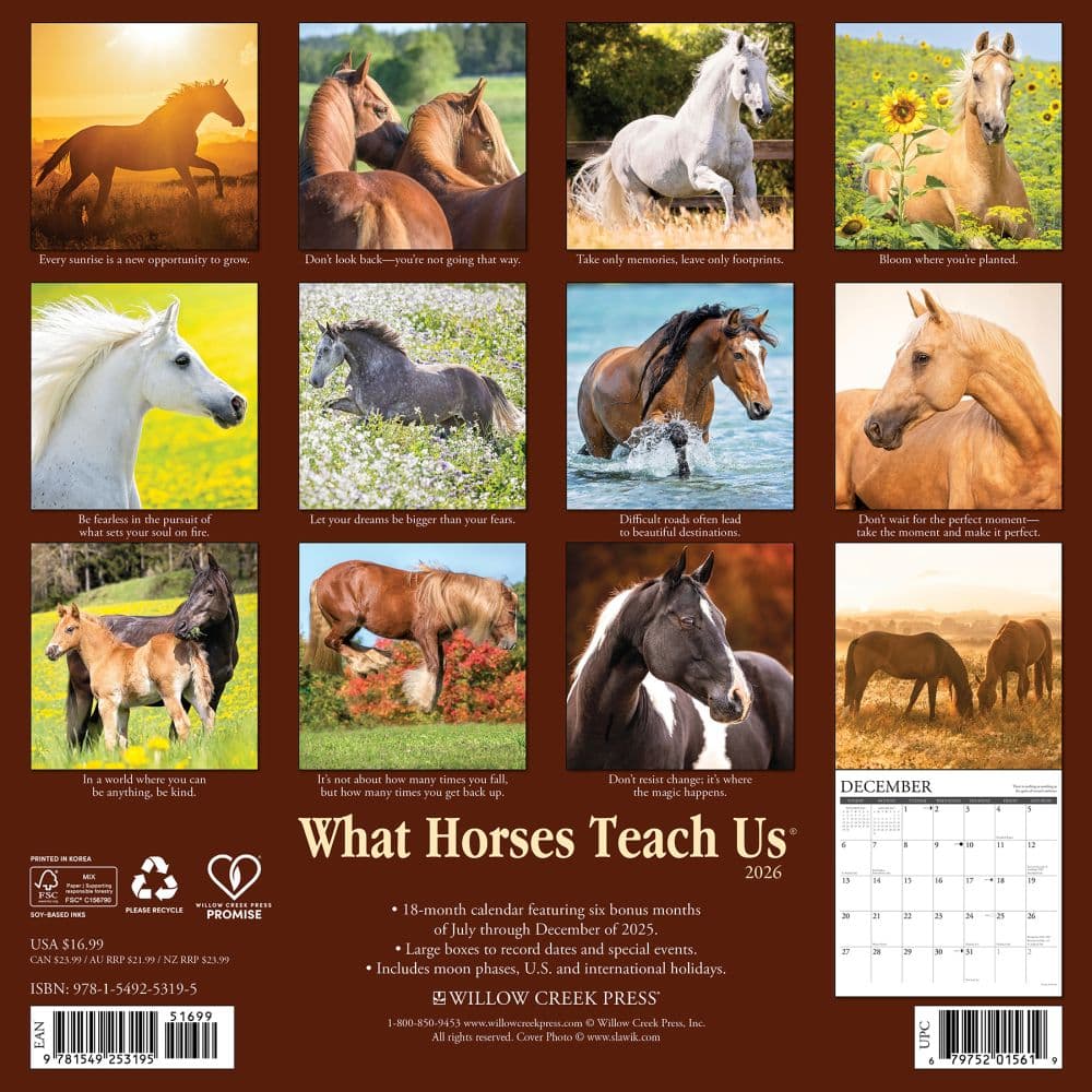 What Horses Teach Us 2026 Wall Calendar First Alternate Image
