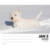 image Just Westies 2025 Desk Calendar interior